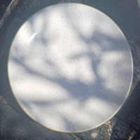 Lekbakje met aardbei schildering en schotel