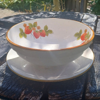 Lekbakje met aardbei schildering en schotel