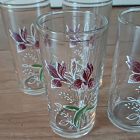 Frisglazen met Iris bloemmotief 