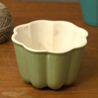 Vintage puddingvorm lichtgroen