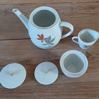 Vintage servies met bladmotief Seltmann Weiden Bavaria