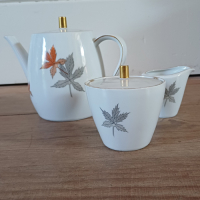 Vintage servies met bladmotief Seltmann Weiden Bavaria