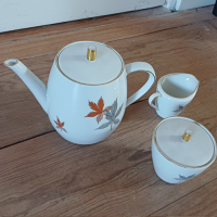 Vintage servies met bladmotief Seltmann Weiden Bavaria