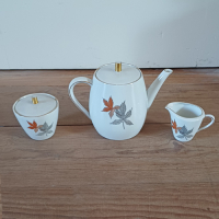 Vintage servies met bladmotief Seltmann Weiden Bavaria