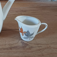 Vintage servies met bladmotief Seltmann Weiden Bavaria
