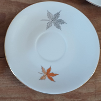 Vintage servies met bladmotief Seltmann Weiden Bavaria