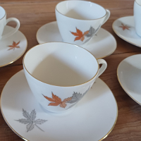Vintage servies met bladmotief Seltmann Weiden Bavaria
