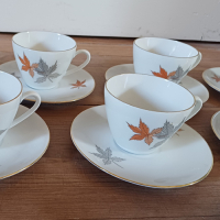 Vintage servies met bladmotief Seltmann Weiden Bavaria