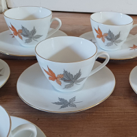 Vintage servies met bladmotief Seltmann Weiden Bavaria