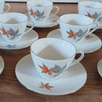 Vintage servies met bladmotief Seltmann Weiden Bavaria