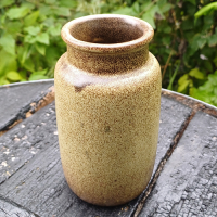 Vintage vaasje West Germany Scheurich met plantafbeeldingen