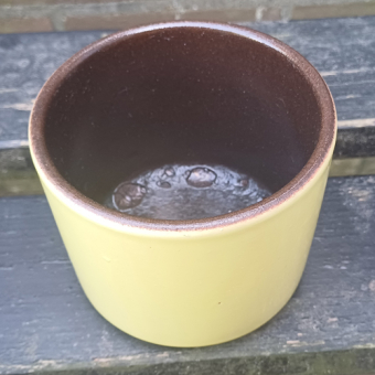 Geel bloempotje