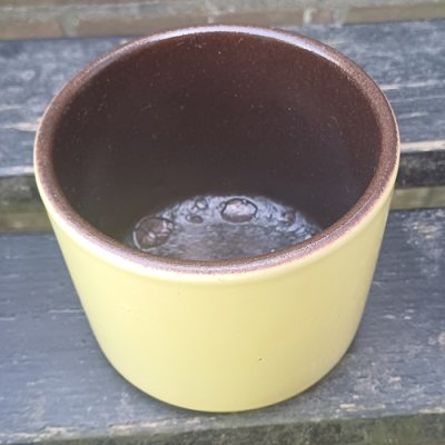 Geel bloempotje